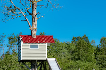 A Tree-house high up in a tree. The tree is growing through the center of the house. Forrest in the background, blue sky above.
