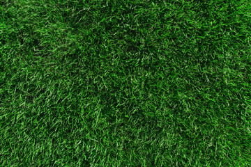 Green grass. Natural background.  Lawn. Football field.