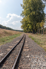 Obraz premium View of the popular lake Auensee in the north of Leipzig with old bridge and miniature railway