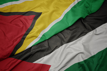 waving colorful flag of palestine and national flag of guyana.