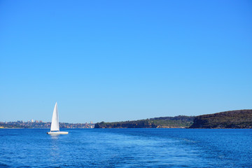 Boats on Sydney Harbour with blue skies