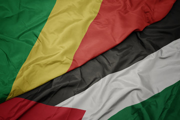 waving colorful flag of palestine and national flag of republic of the congo.