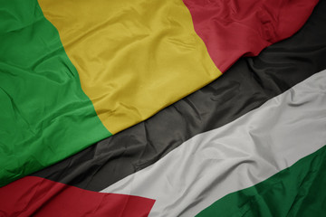 waving colorful flag of palestine and national flag of mali.