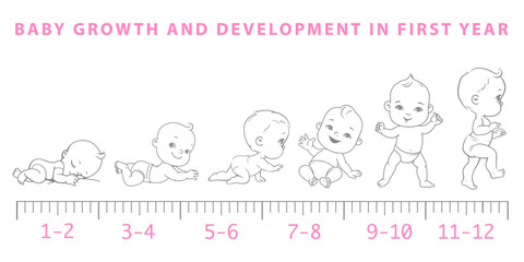 Fototapeta na wymiar Baby growth from newborn to toddler scale.