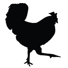 a rooster body silhouette vector