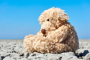 Teddy bear in desolate landscape. Sad toy bear sitting on dry cracked ground with blue sky. Concept of global warming and climate change. Low perspective shot with copy space.  