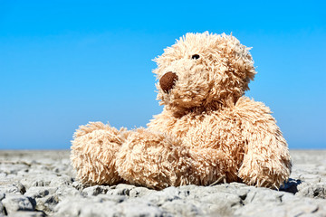 Teddy bear in desolate landscape. Toy bear sitting on dry cracked ground with blue sky. Concept of global warming and climate change. Low perspective shot with copy space.  