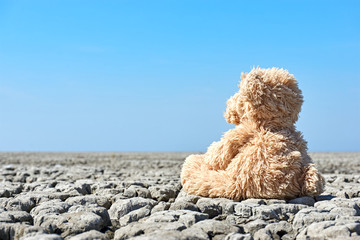 Teddy bear in desolate landscape. Toy bear sitting on dry cracked ground with blue sky. Concept of global warming and climate change. Low perspective shot with copy space.  