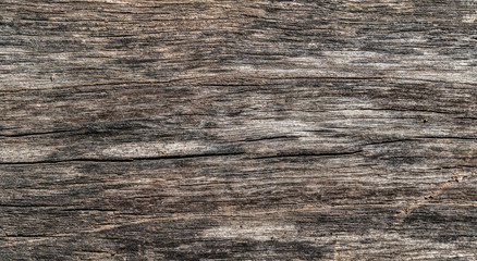 Wooden texture background. Old wood texture with scratches, lines and different cracks. Black, brown and gray colours. Background for text or design