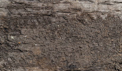 Wooden texture background. Old wood texture with scratches, lines, cracks and dirt. Surface covered by dry dirt. Black, brown and gray colours. Background for text or design