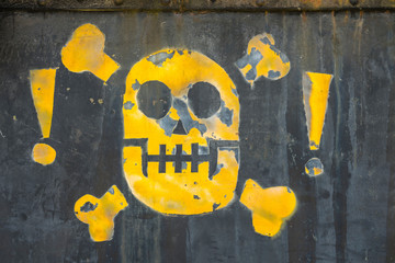 Skull and bones