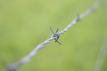Barbed Wire with Green Background