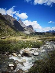 Foto op Canvas River in the mountains © dianacoman