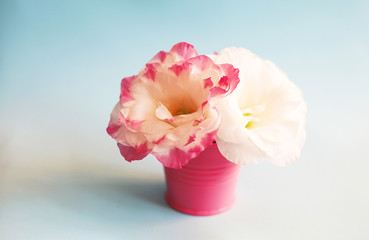 Lisianthus flowers minimal composition with pink bucket against background with copy space