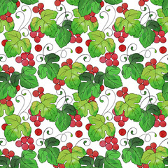 seamless pattern with stylized grapes