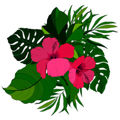 composition of flowers and leaves, tropical plants