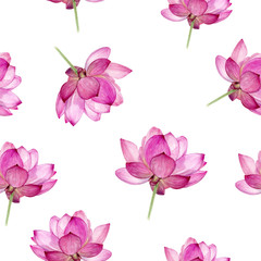 Watercolor hand drawn lotus isolated seamless pattern.
