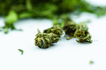 Macro photo of a large pile of buds and marijuana leaves