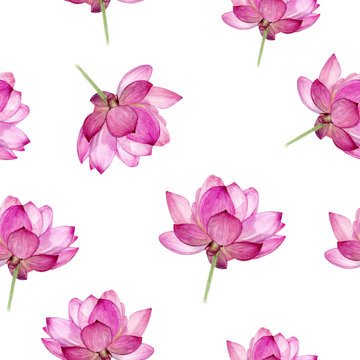 Watercolor hand drawn lotus isolated seamless pattern.