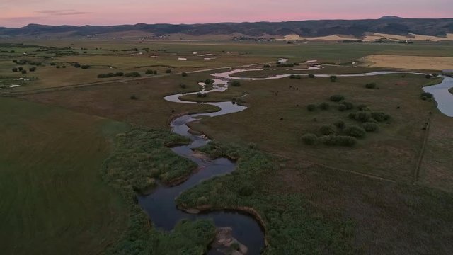 Flying over small river through pasture with horses grazing in Afton Wyoming at dawn.
