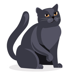 British cat big gray straight with yellow eyes on a white background. vector illustration