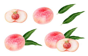 Pink figs peach fruit watercolor isolated on white background