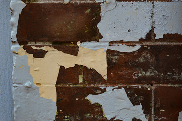 Grungy close-up texture of old bricks with peeling paint