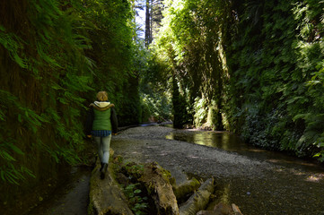 Hiker makes her way through the belly of Fern Canyon in Redwoods National Park, California