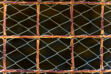 fencing made of rusty mesh