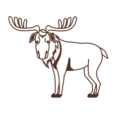 Isolated moose animal design vector illustration