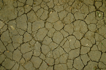 Ground texture. Texture of the earth. Soil texture;