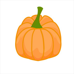 Pumpkin Vector Illustrations Isolated on White Background