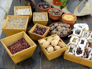 walnut in a clay bowl, almonds in a wooden box, acorns, lentils, corn