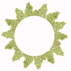 Beautiful Watercolor Hand drawn grapes wreath in green and yellow colors.