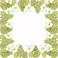 Beautiful Watercolor Hand drawn grapes frame in green and yellow colors with space.