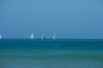 Sail boats