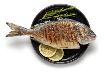 Grilled fish on black plate
