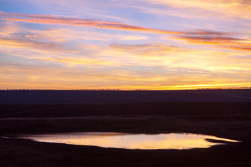 Fototapeta na wymiar twilight reflection in the pond water 