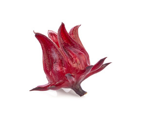 Roselle Hibiscus sabdariffa red fruit flower on white background.