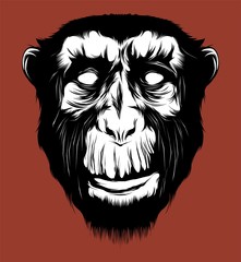 Ape Illustration