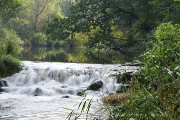 Waterfall in the Forest