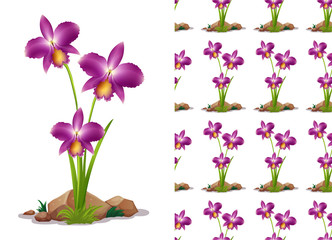 Seamless background design with orchid flowers on rock