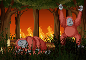 Scene with wildfire and two chimpanzees