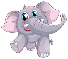Gray elephant on white background