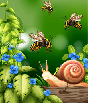 Nature scene with bees and snail
