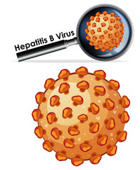 Close up isolated object of virus Hepatitis B