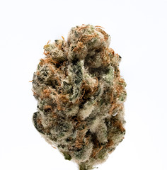 Rock OG - Medical Cannabis Nug