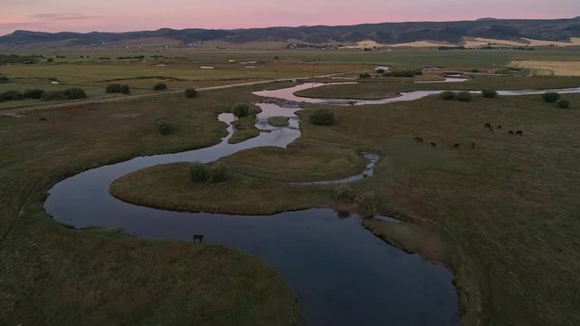 Horse standing at rivers edge while flying over the winding river at dawn in Star Valley Wyoming.