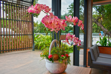 flower garden There are many colors of flowers and many kinds of beautiful nature. And refreshing when seeing flowers of many colors