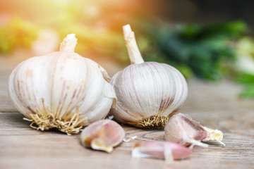 Garlic Cloves and fresh garlic bulb on wooden background forherbs and spices ingredients spicy food